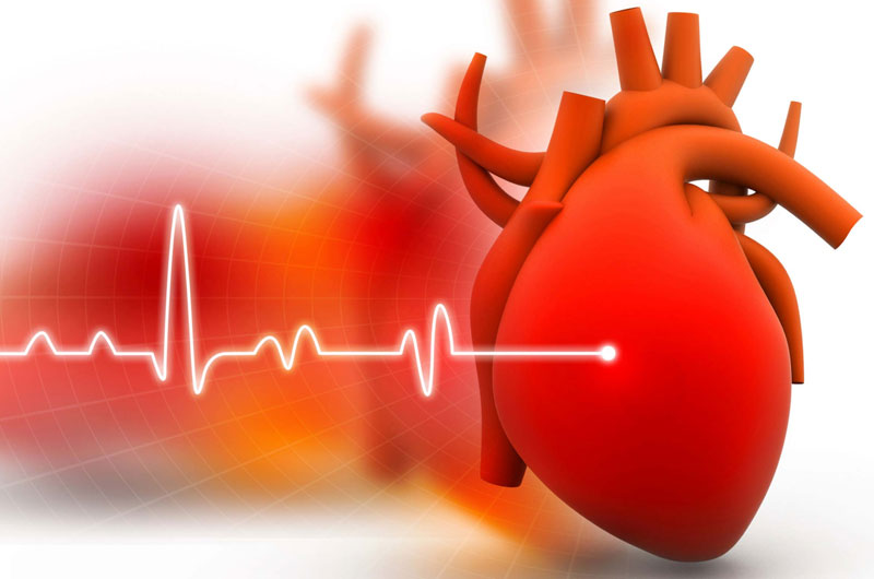 ecg test