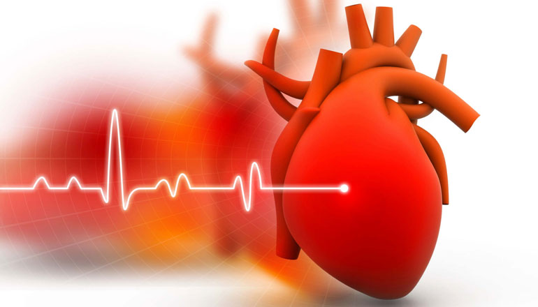 ecg test