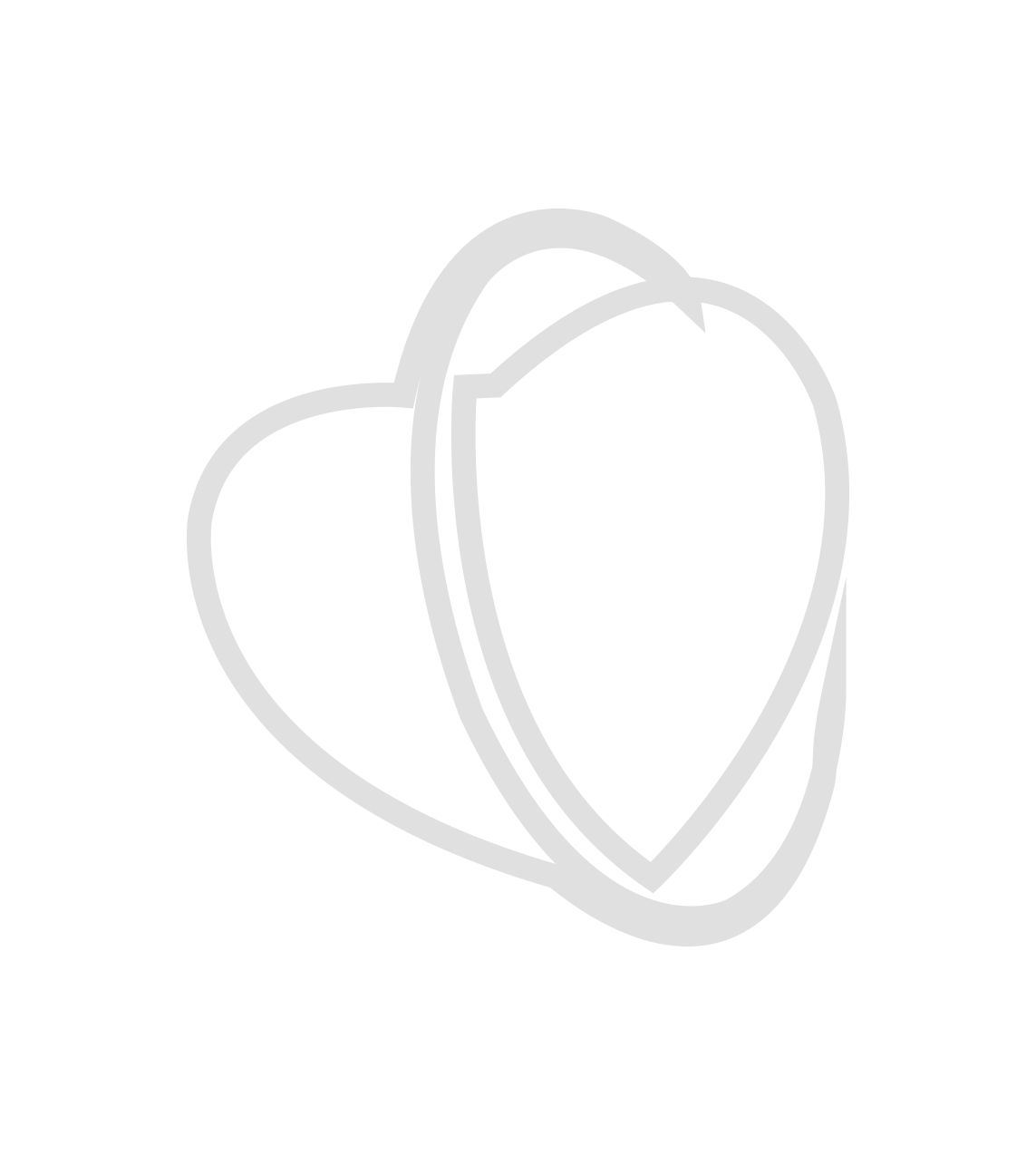 balaji heart center